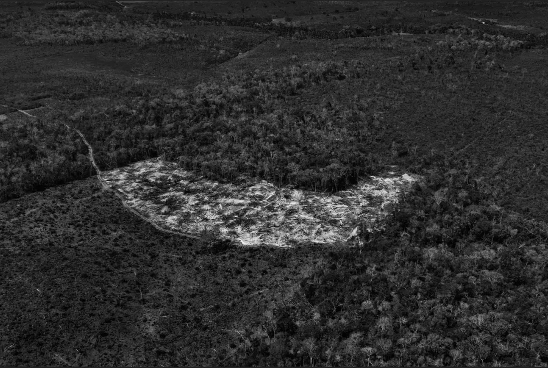 août 2019,  un feu faisait rage dans la forêt près de Porto Velho